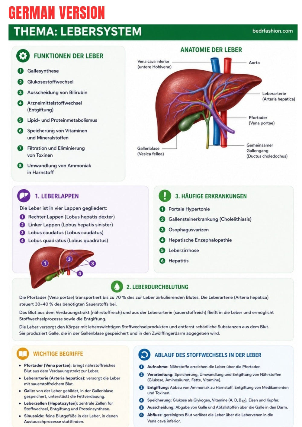 Anatomy & Physiology Ebook - Be Dr.Fashion