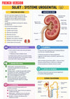 Anatomy & Physiology Ebook - Be Dr.Fashion