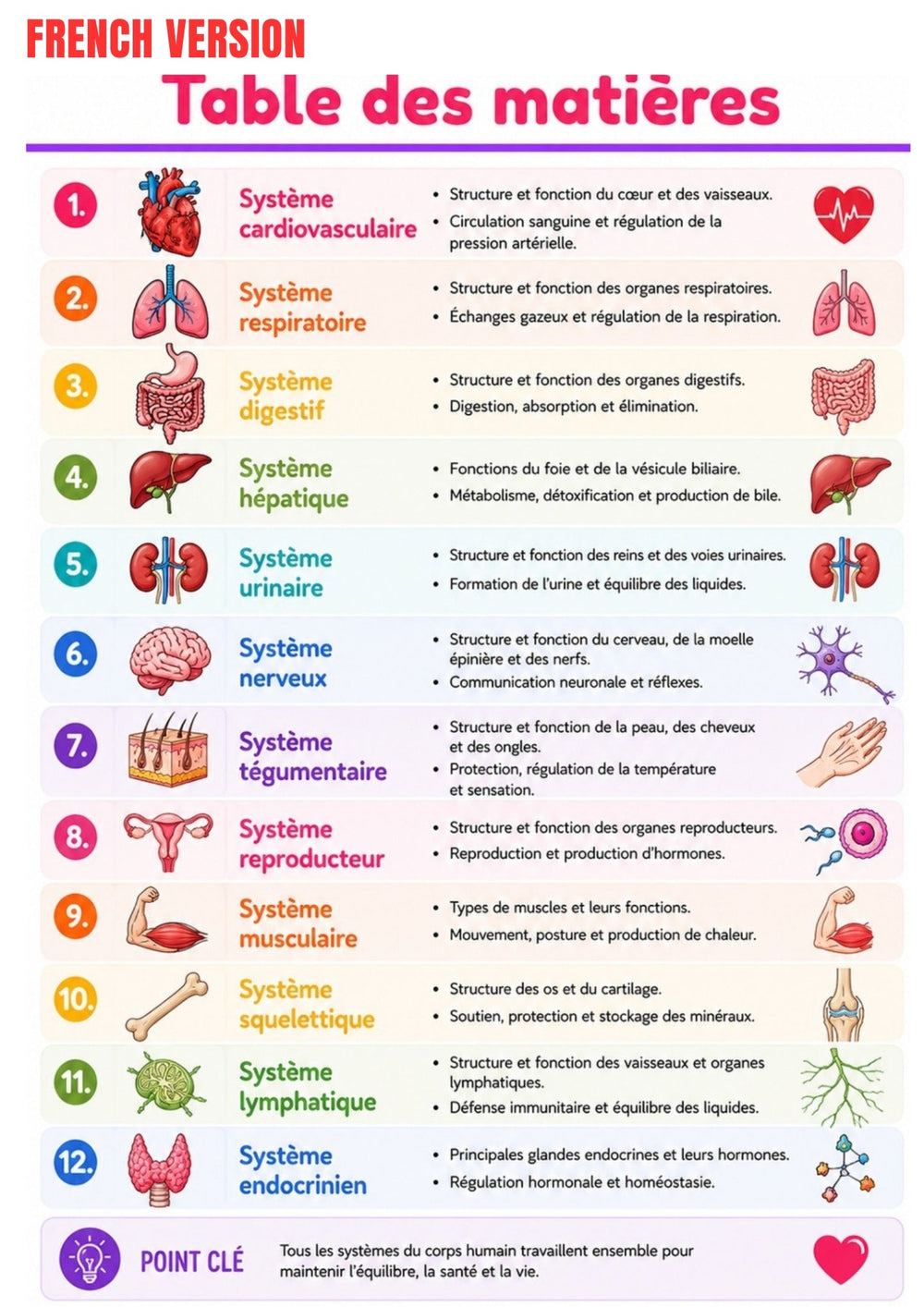 Anatomy & Physiology Ebook - Be Dr.Fashion