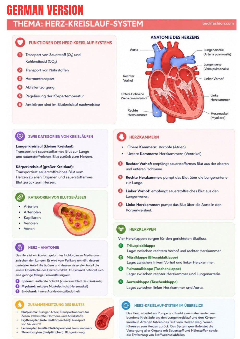 Anatomy & Physiology Ebook - Be Dr.Fashion