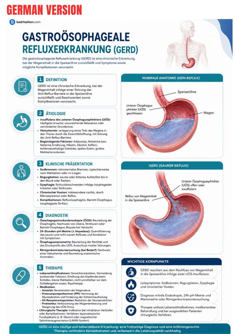 Gastroenterology Clinical Guide Ebook - Be Dr.Fashion