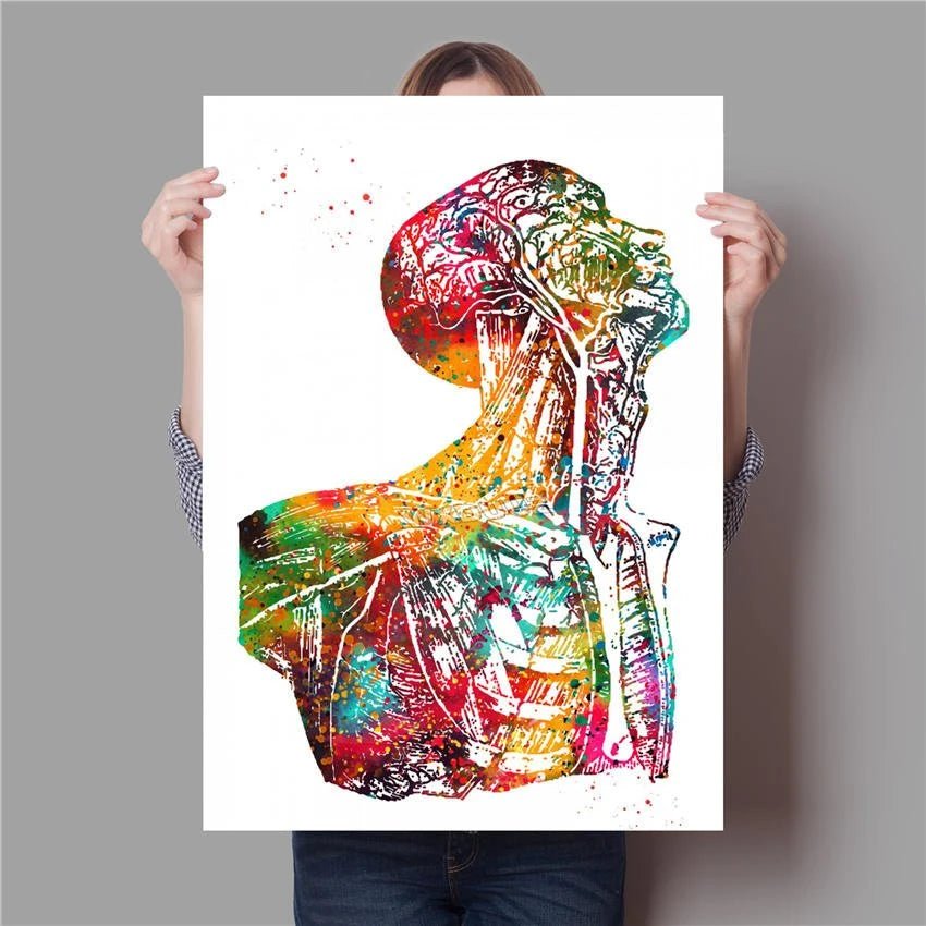 Canvasdoek met menselijke anatomie: spierwand - Be Dr.Fashion