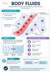 IV Fluids Ebook - Be Dr.Fashion