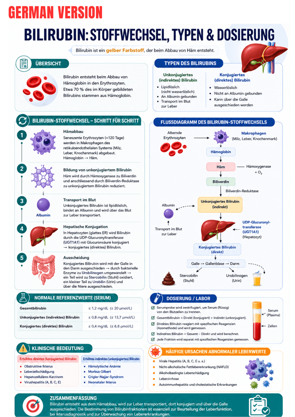 Laboratory Tests Ebook - Be Dr.Fashion