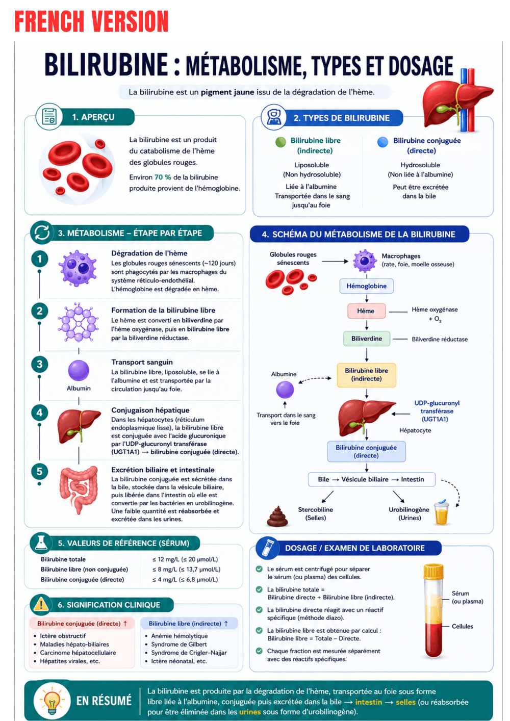 Laboratory Tests Ebook - Be Dr.Fashion