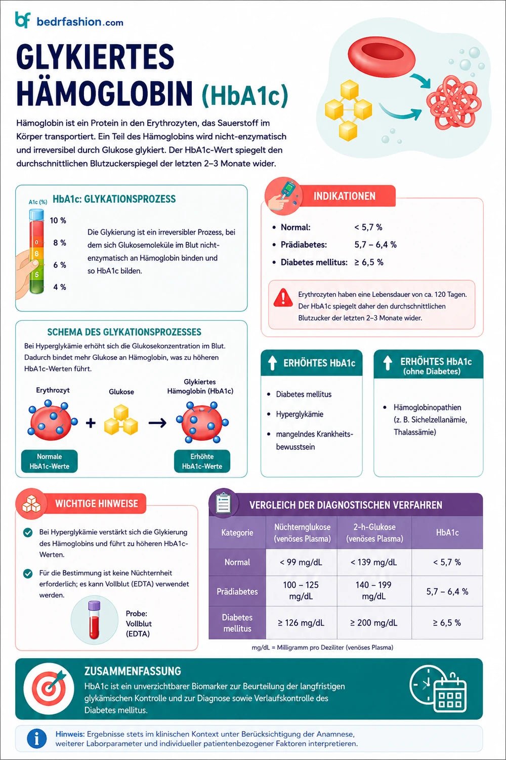 Laboruntersuchungen E-Book – Klinischer Leitfaden - Be Dr.Fashion