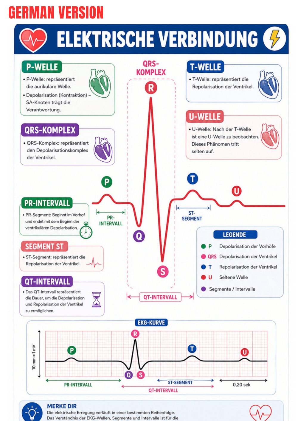 The Complete EKG Guide Ebook - Be Dr.Fashion