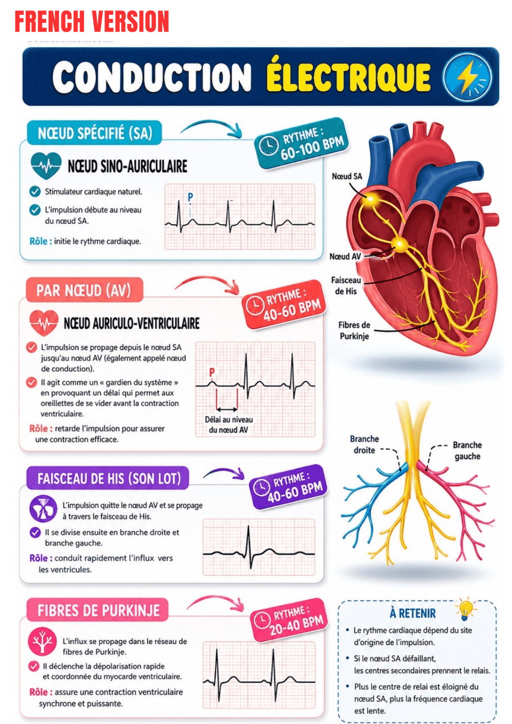 The Complete EKG Guide Ebook - Be Dr.Fashion